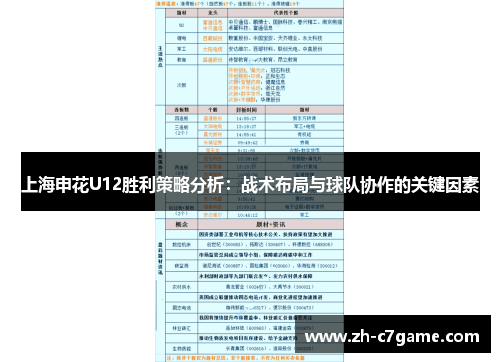 上海申花U12胜利策略分析：战术布局与球队协作的关键因素