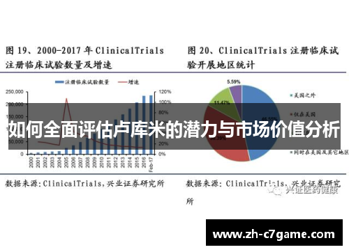 如何全面评估卢库米的潜力与市场价值分析 如何全面评估卢库米的潜力与市场价值分析