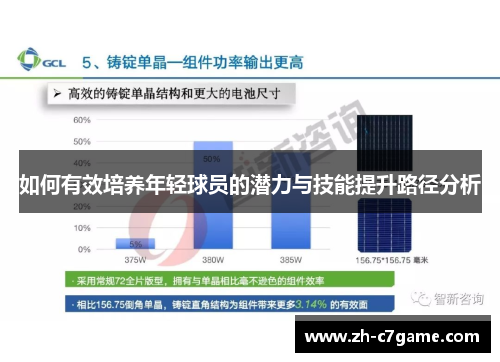 如何有效培养年轻球员的潜力与技能提升路径分析