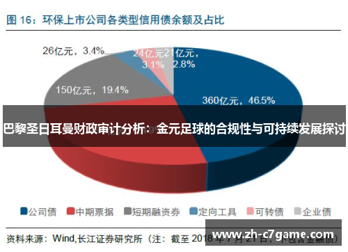 巴黎圣日耳曼财政审计分析：金元足球的合规性与可持续发展探讨