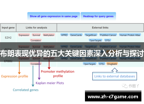 布朗表现优异的五大关键因素深入分析与探讨 布朗表现优异的五大关键因素深入分析与探讨